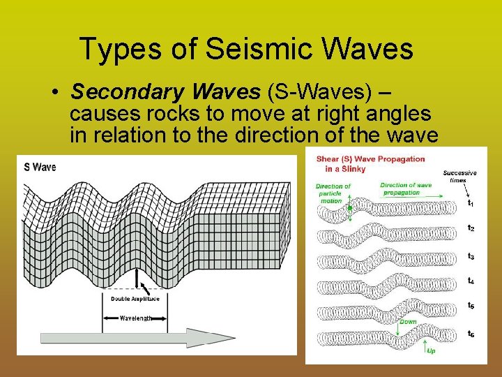 Types of Seismic Waves • Secondary Waves (S-Waves) – causes rocks to move at