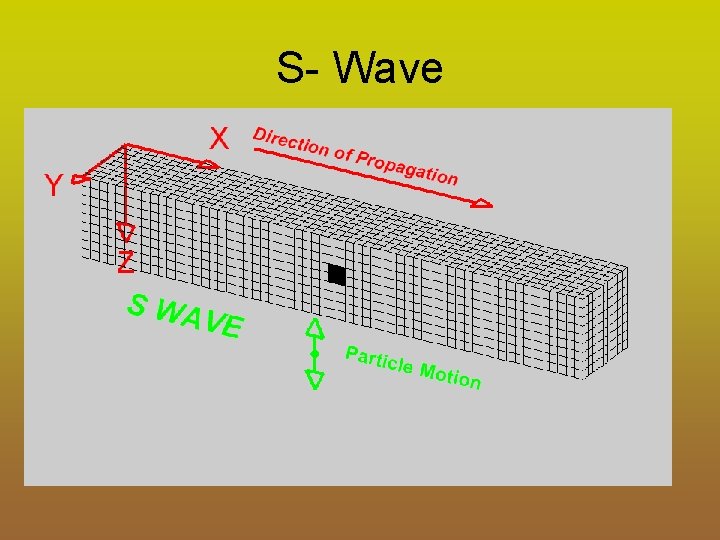 S- Wave 