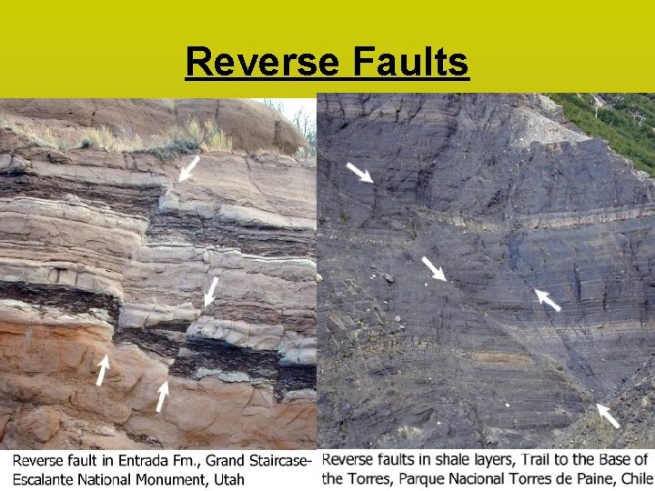 Reverse Faults 
