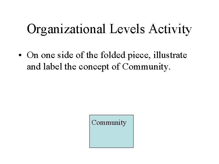 Organizational Levels Activity • On one side of the folded piece, illustrate and label