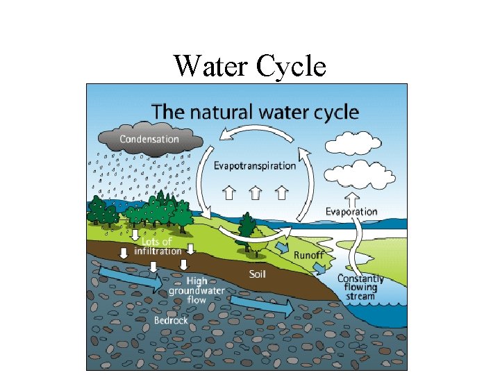 Water Cycle 