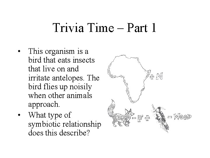 Trivia Time – Part 1 • This organism is a bird that eats insects
