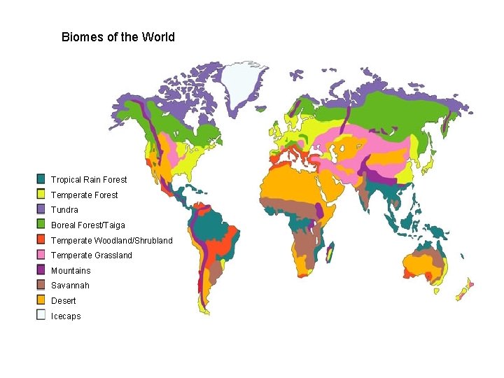 Biomes of the World Tropical Rain Forest Temperate Forest Tundra Boreal Forest/Taiga Temperate Woodland/Shrubland
