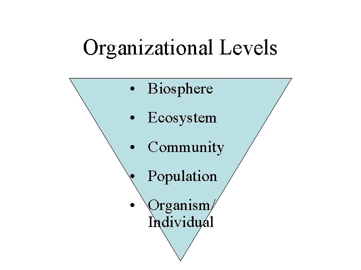 Organizational Levels • Biosphere • Ecosystem • Community • Population • Organism/ Individual 