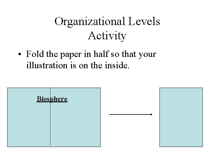 Organizational Levels Activity • Fold the paper in half so that your illustration is