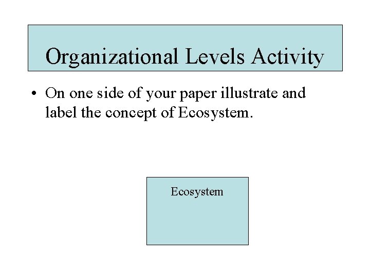 Organizational Levels Activity • On one side of your paper illustrate and label the