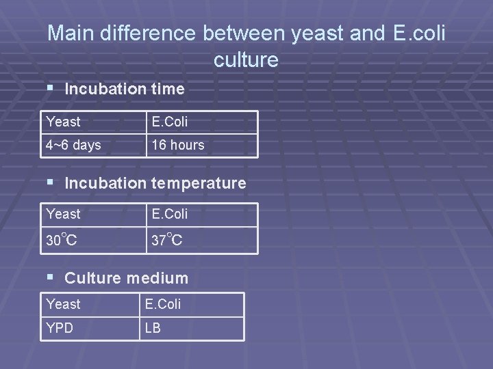 Main difference between yeast and E. coli culture § Incubation time Yeast E. Coli