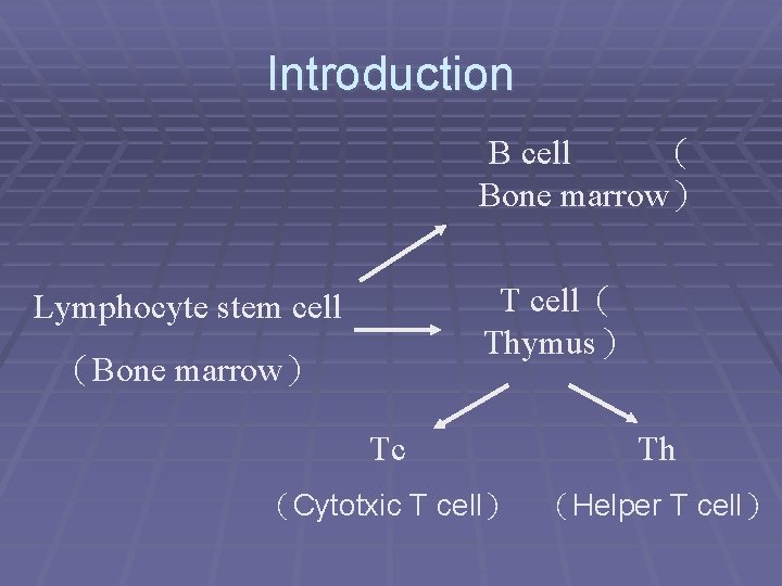 Introduction B cell （ Bone marrow） T cell（ Thymus） Lymphocyte stem cell （Bone marrow）