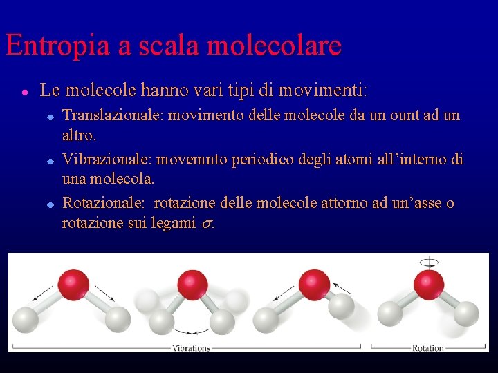 Entropia a scala molecolare l Le molecole hanno vari tipi di movimenti: u u