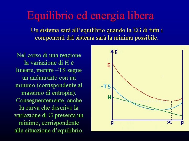 Equilibrio ed energia libera Un sistema sarà all’equilibrio quando la SG di tutti i