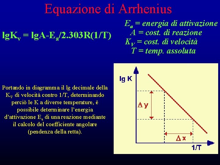 Equazione di Arrhenius lg. Kv = lg. A-Ea/2. 303 R(1/T) Portando in diagramma il