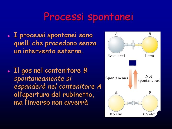 Processi spontanei l l I processi spontanei sono quelli che procedono senza un intervento