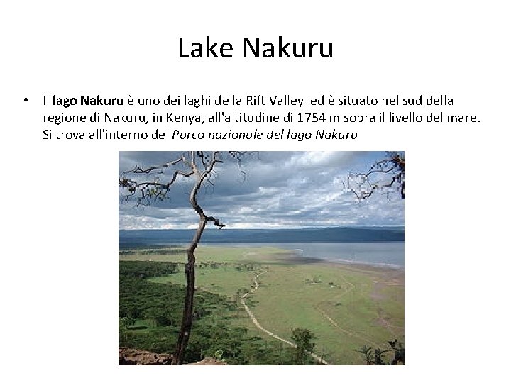 Lake Nakuru • Il lago Nakuru è uno dei laghi della Rift Valley ed