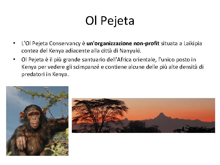 Ol Pejeta • L'Ol Pejeta Conservancy è un'organizzazione non-profit situata a Laikipia contea del