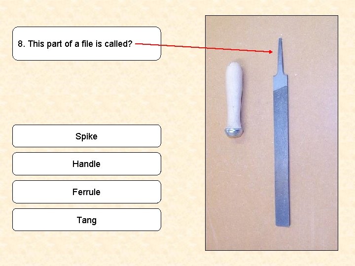 8. This part of a file is called? Spike Handle Ferrule Tang 