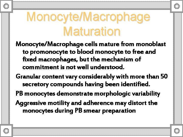 Monocyte/Macrophage Maturation Monocyte/Macrophage cells mature from monoblast to promonocyte to blood monocyte to free