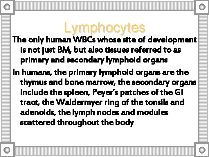 Lymphocytes The only human WBCs whose site of development is not just BM, but