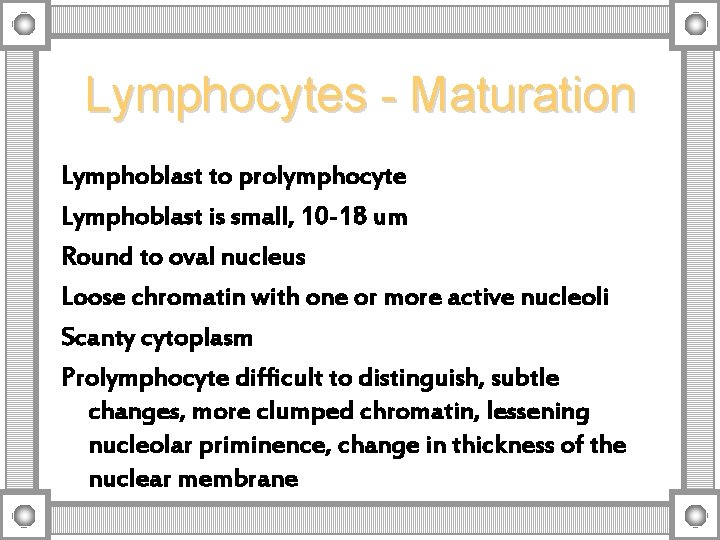 Lymphocytes - Maturation Lymphoblast to prolymphocyte Lymphoblast is small, 10 -18 um Round to