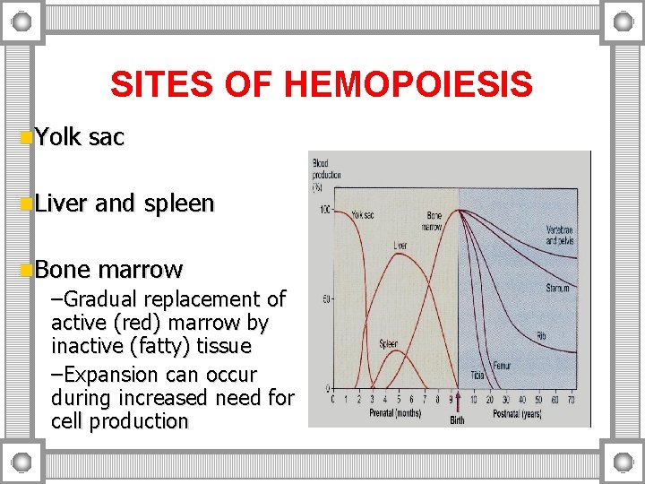 SITES OF HEMOPOIESIS n. Yolk n. Liver sac and spleen n. Bone marrow –Gradual