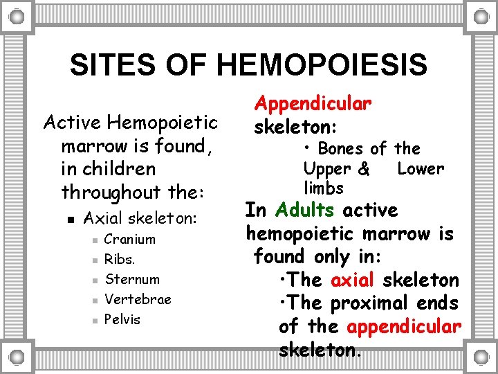 SITES OF HEMOPOIESIS Active Hemopoietic marrow is found, in children throughout the: n Axial