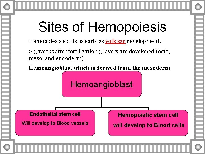 Sites of Hemopoiesis starts as early as yolk sac development. 2 -3 weeks after