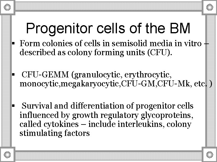 Progenitor cells of the BM § Form colonies of cells in semisolid media in