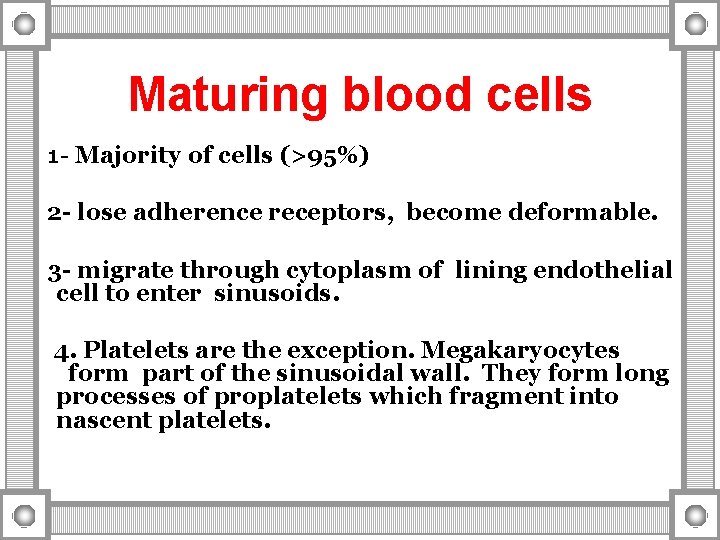Maturing blood cells 1 - Majority of cells (>95%) 2 - lose adherence receptors,