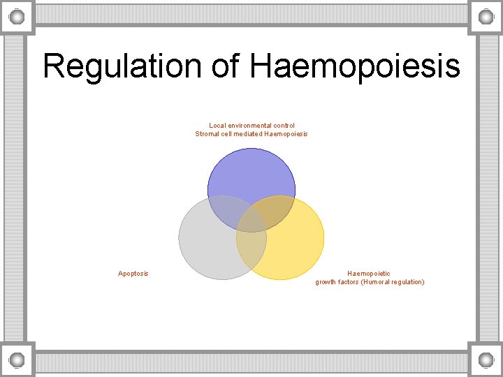 Regulation of Haemopoiesis Local environmental control Stromal cell mediated Haemopoiesis Apoptosis Haemopoietic growth factors