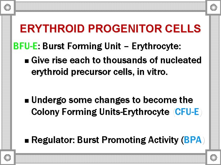 ERYTHROID PROGENITOR CELLS BFU-E: Burst Forming Unit – Erythrocyte: n Give rise each to