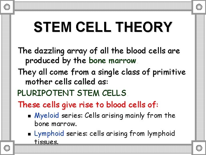 STEM CELL THEORY The dazzling array of all the blood cells are produced by