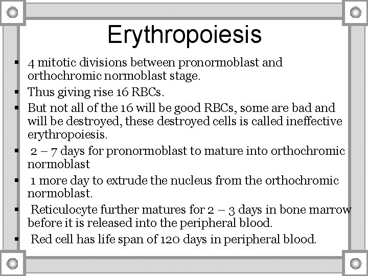 Erythropoiesis § 4 mitotic divisions between pronormoblast and orthochromic normoblast stage. § Thus giving