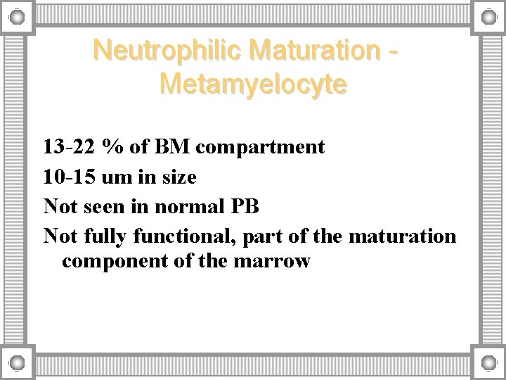 Neutrophilic Maturation Metamyelocyte 13 -22 % of BM compartment 10 -15 um in size