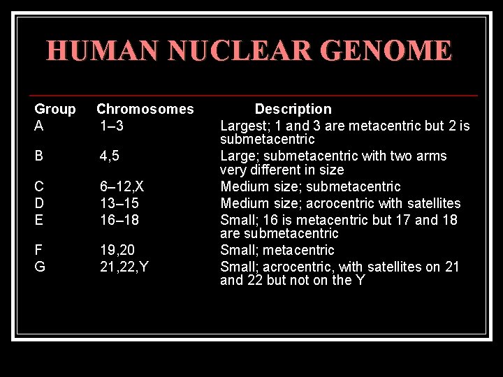 HUMAN NUCLEAR GENOME Group A Chromosomes 1– 3 B 4, 5 C D E