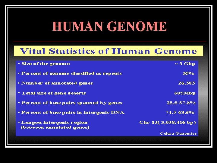 HUMAN GENOME 