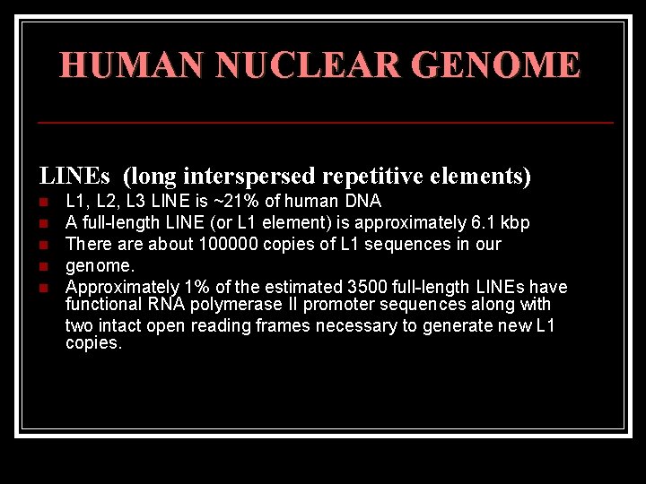 HUMAN NUCLEAR GENOME LINEs (long interspersed repetitive elements) n n n L 1, L