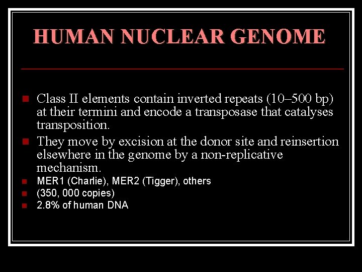 HUMAN NUCLEAR GENOME n n n Class II elements contain inverted repeats (10– 500