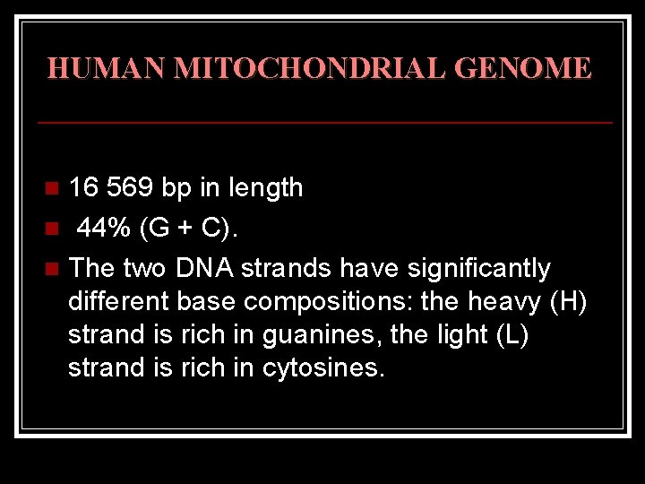 HUMAN MITOCHONDRIAL GENOME 16 569 bp in length n 44% (G + C). n