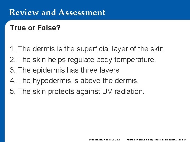Review and Assessment True or False? 1. The dermis is the superficial layer of