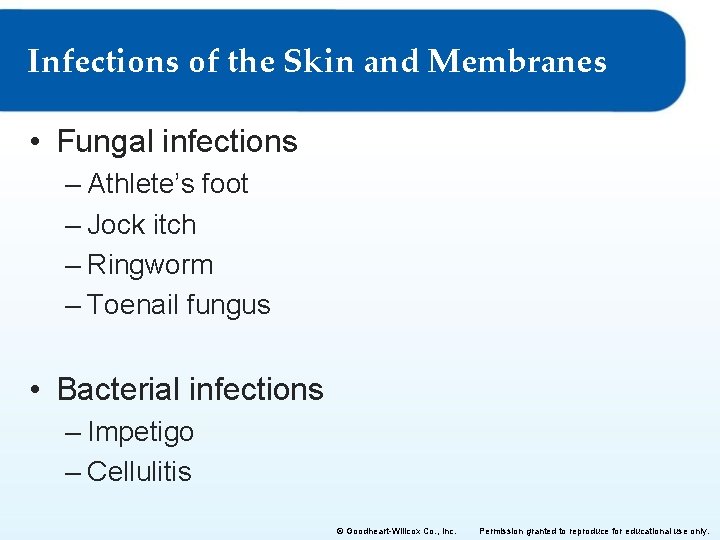 Infections of the Skin and Membranes • Fungal infections – Athlete’s foot – Jock