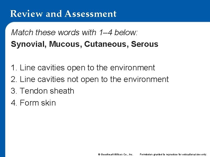 Review and Assessment Match these words with 1– 4 below: Synovial, Mucous, Cutaneous, Serous