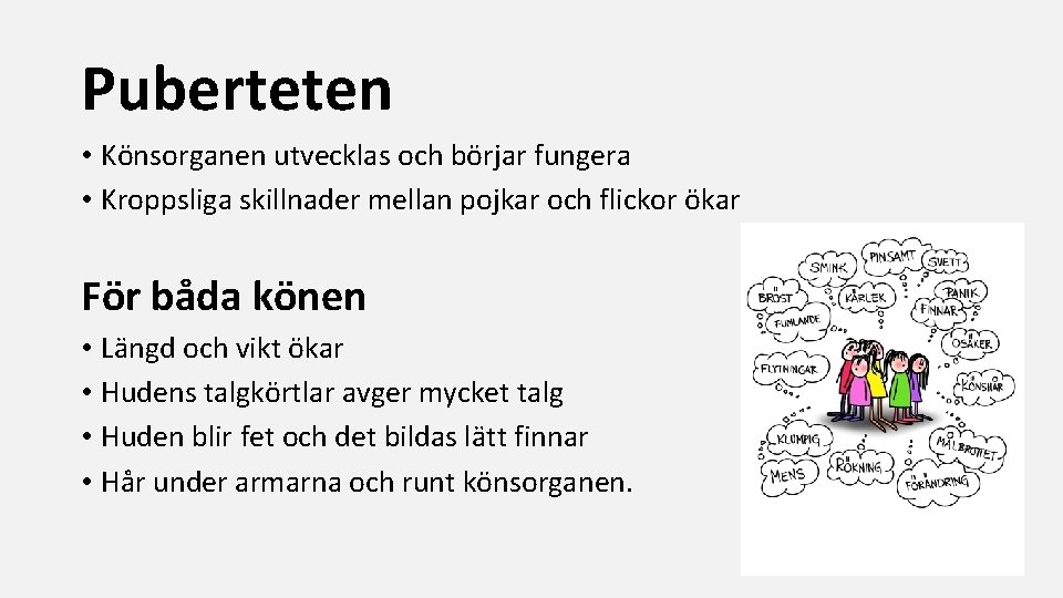 Puberteten • Könsorganen utvecklas och börjar fungera • Kroppsliga skillnader mellan pojkar och flickor