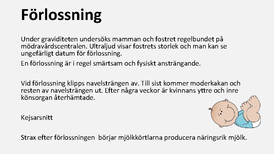 Förlossning Under graviditeten undersöks mamman och fostret regelbundet på mödravårdscentralen. Ultraljud visar fostrets storlek