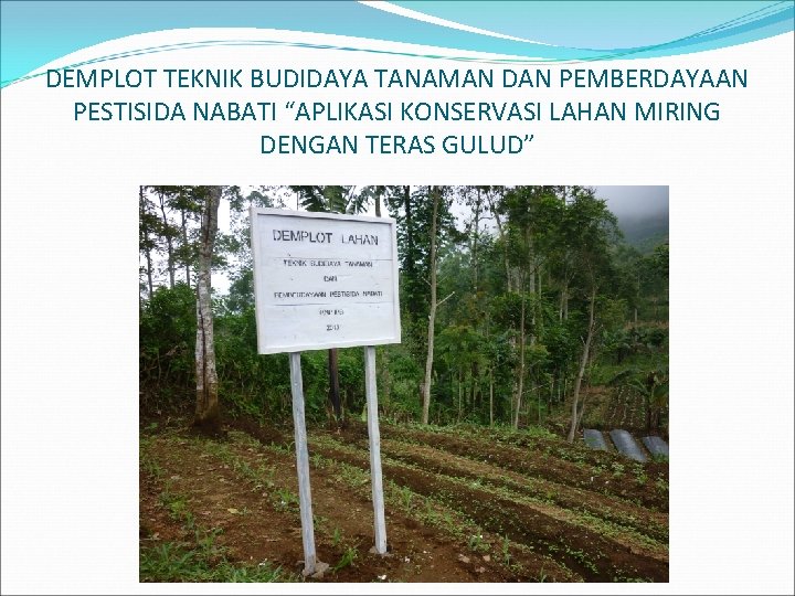 DEMPLOT TEKNIK BUDIDAYA TANAMAN DAN PEMBERDAYAAN PESTISIDA NABATI “APLIKASI KONSERVASI LAHAN MIRING DENGAN TERAS