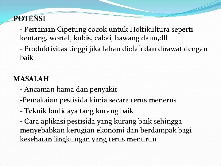 POTENSI - Pertanian Cipetung cocok untuk Holtikultura seperti kentang, wortel, kubis, cabai, bawang daun,