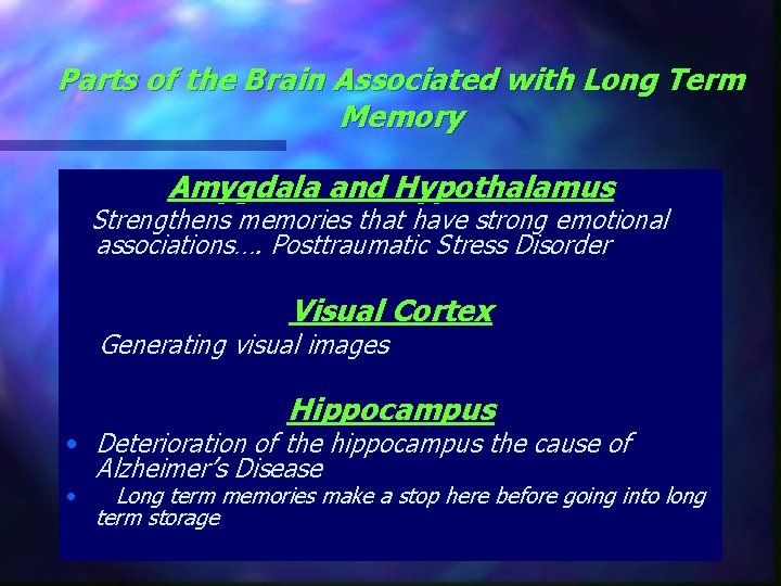 Parts of the Brain Associated with Long Term Memory Amygdala and Hypothalamus Strengthens memories