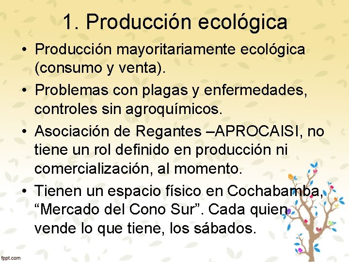 1. Producción ecológica • Producción mayoritariamente ecológica (consumo y venta). • Problemas con plagas