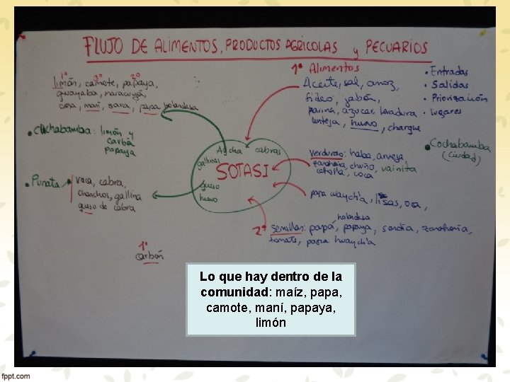 Lo que hay dentro de la comunidad: maíz, papa, camote, maní, papaya, limón 
