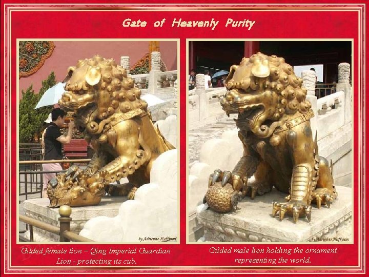 Gate of Heavenly Purity Gilded female lion – Qing Imperial Guardian Lion - protecting