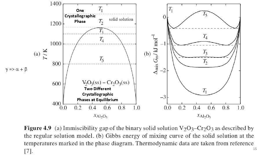 One Crystallographic Phase g => a + b Two Different Crystallographic Phases at Equilibrium