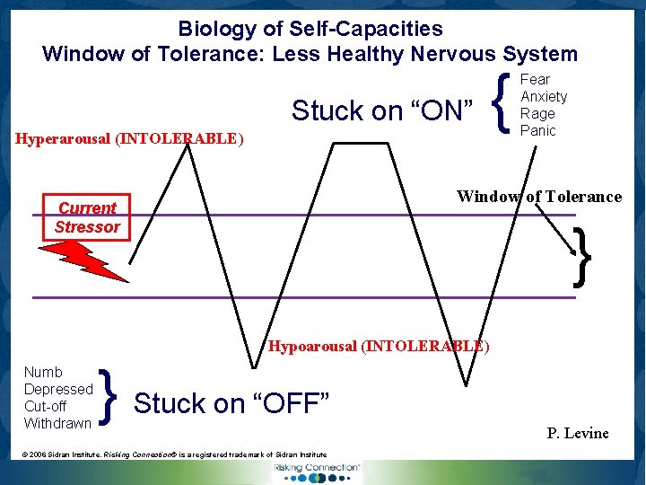 Biology of Self-Capacities Window of Tolerance: Less Healthy Nervous System Stuck on “ON” Hyperarousal